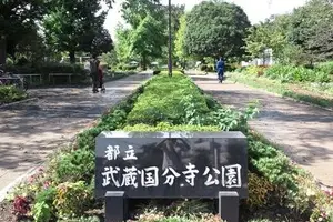 しってる？東京周辺の公園🌳🌷
