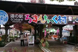 新しい出会いを求めて向き合い座席のバスでビールとワイン