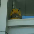 道の駅 スプリングス日吉の写真_450225