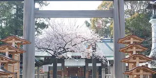 桜🌸を見に🚢横浜散歩