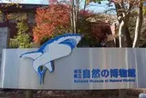 埼玉県立自然の博物館
