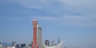 兵庫で旬と出会い、食をとことん味わう