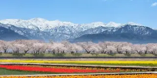 北陸の絶景7選