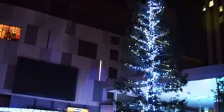 東京イルミネーション探訪