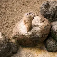 草津熱帯圏の写真・動画_image_26608