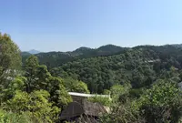 吉野山の写真・動画_image_30212