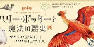 丸の内クリスマスイルミ2021「ハリー・ポッター」魔法ワールドからの贈り物　12月25日まで！