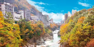 【鬼怒川温泉】のんびり癒し旅(1泊2日)★行程あり★