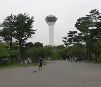 五稜郭タワーの写真・動画_image_631029