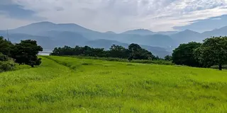 春の絶景　指宿・霧島