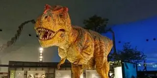 福井めぐり in嶺北
