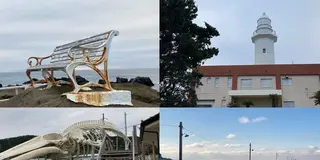【南房総】日帰り絶景巡り旅