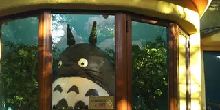 受付担当は、となりのトトロ