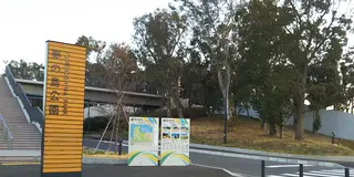 夢の島で木材のまち新木場から