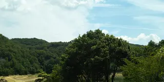 安室をドライブ