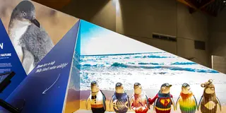 【オーストラリア】メルボルンの文化と自然を満喫するプラン