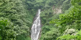 【初心者向き】船上山 鱒返しの滝＆船上神社・奥の院を目指して♪