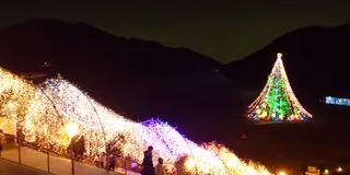 集落全体がクリスマス☆　別世界の様なキラキラ清川村！