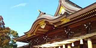 ちょこっとローカル。寒川日帰り詣