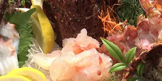 《更新中》熊本の情報番組サタブラ推薦！ランチ&ディナーにオススメな和食が食べれるお店♪