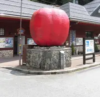 道の駅 はがの写真・動画_image_233657