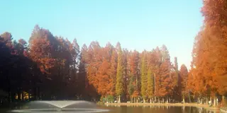 埼玉の公園まとめ