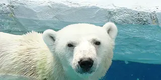 愛媛巡り