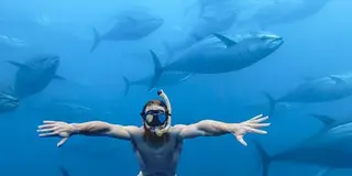 【スペイン】世界一の養殖マグロと甘トロのネギ&カタルーニャワイン🍷