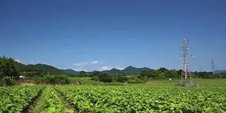 初夏の風に吹かれながら、高原で田舎暮らし体験