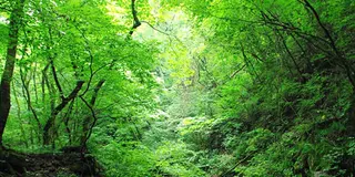 御岳渓谷リトリート