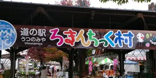 新しい出会いを求めて向き合い座席のバスでビールとワイン