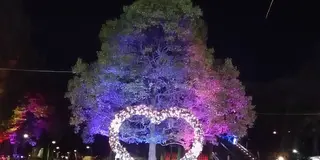 鳩ポッポのふるさと東京「上野・浅草」を歩く