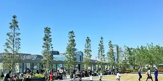 【屋上庭園からギャラリーも！】ショッピングじゃない銀座の楽しみ方