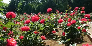 智光山公園＆レストランサイボク （SAIBOKU）