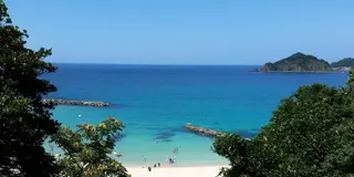 夏といえば…あざやかな青を楽しむ、美保関町
