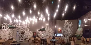花咲かタイムズ【岐阜・多治見市】