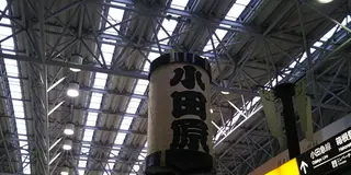 小田原提灯片手に小田原城下町を散策