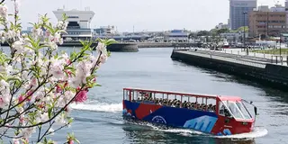 横浜 各種クルージング・乗船体験・船鑑賞など