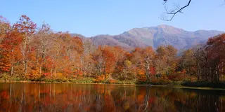 運動の秋、息をのむような絶景紅葉とご褒美デザートを