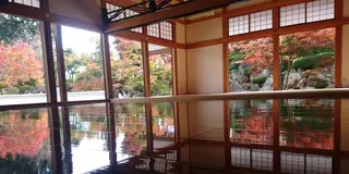 「宝徳寺の床もみじ」「ながめ公園の関東菊花大会」