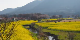 大自然満喫！新潟市西蒲区の公園めぐり