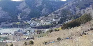 ゆる～り春を旅して