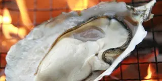 カキを食べに太良へ。西九州のお勧め立ち寄りどころ。