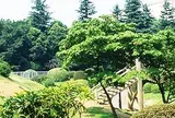箱根山