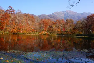 運動の秋、息をのむような絶景紅葉とご褒美デザートを