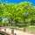 代々木公園