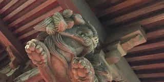 あまり知られていないかも!?対馬の穴場スポットめぐり