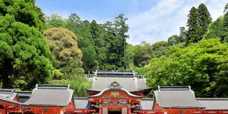 西郷どんの舞台 鹿児島をおしゃれに巡ろう！