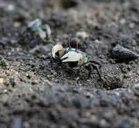 小網代の森の写真・動画_image_236632