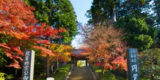 「晩秋の鎌倉」紅葉とオリジナルマイカップでカフェー